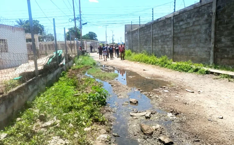 Vecinos de Barrio Paraíso alertan por presencia de serpiente en Lagunillas
